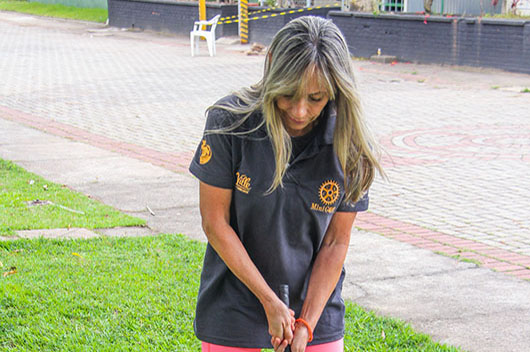 Descrição da Imagem 1