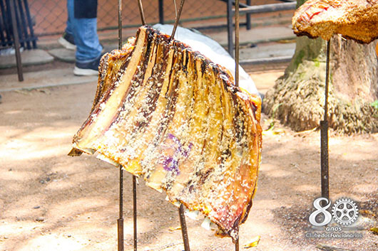 Descrição da Imagem 1