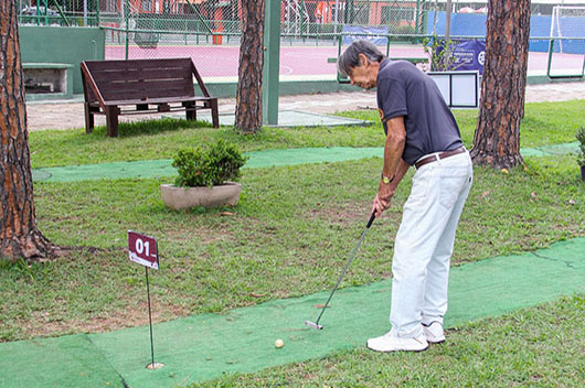 Descrição da Imagem 1