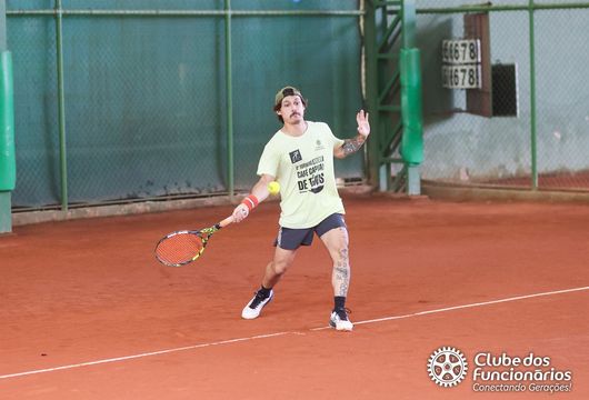 Descrição da Imagem 1