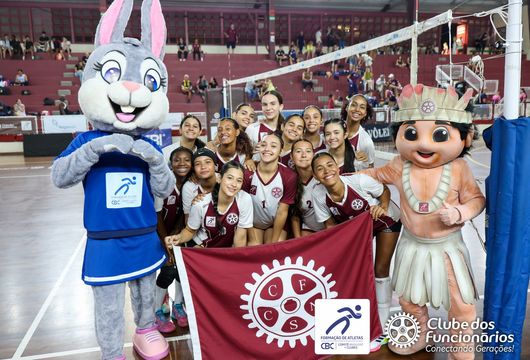 Descrição da Imagem 1