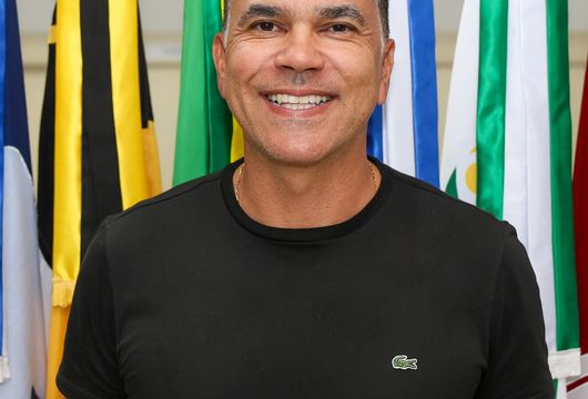 Descrição da Imagem 1