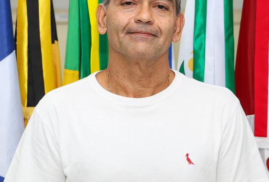 Descrição da Imagem 1