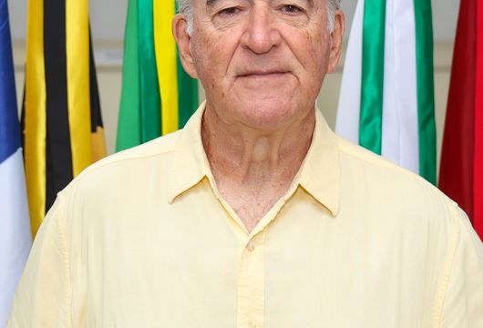 Descrição da Imagem 1