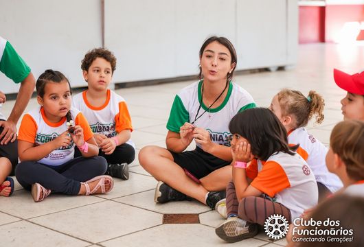 Descrição da Imagem 1
