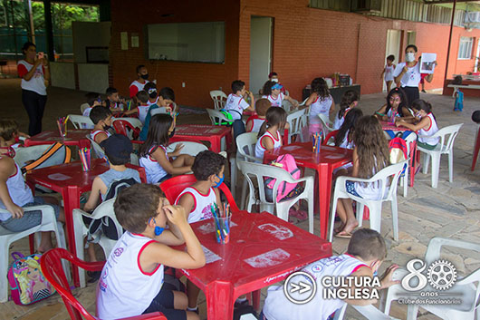 Descrição da Imagem 1