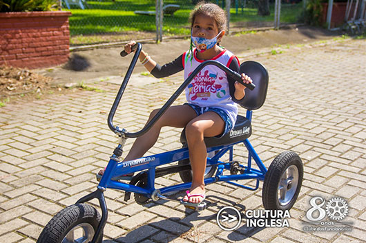 Descrição da Imagem 1