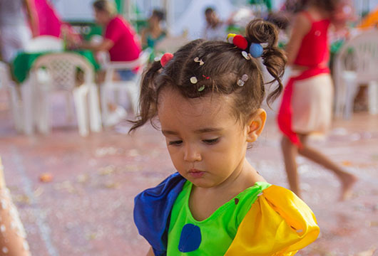 Descrição da Imagem 1