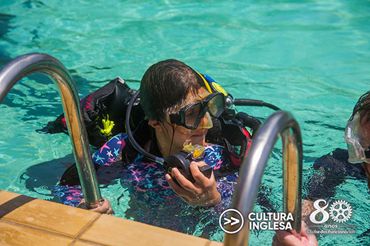 Descrição da Imagem 1