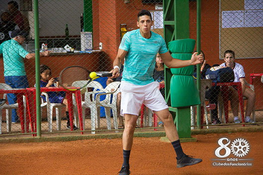 Descrição da Imagem 1