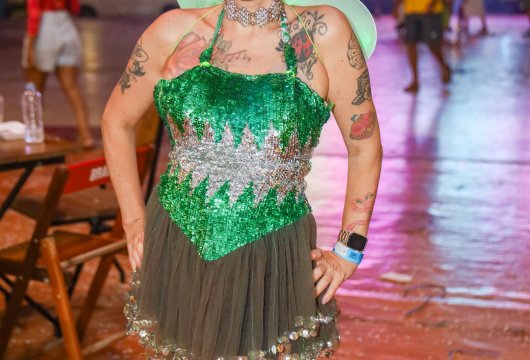 Descrição da Imagem 1