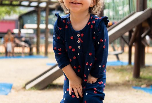 Descrição da Imagem 1