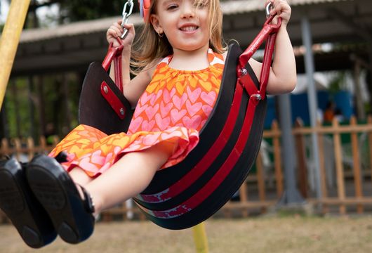 Descrição da Imagem 1