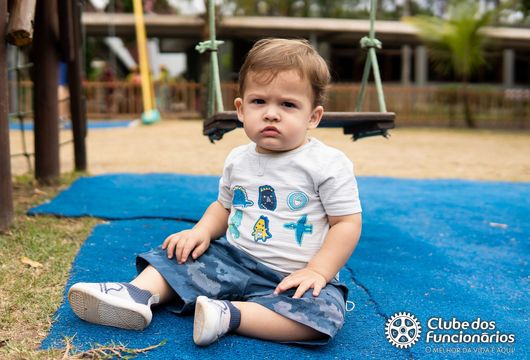 Descrição da Imagem 1