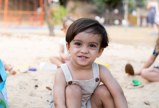 Descrição da Imagem 1