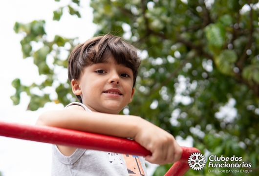 Descrição da Imagem 1