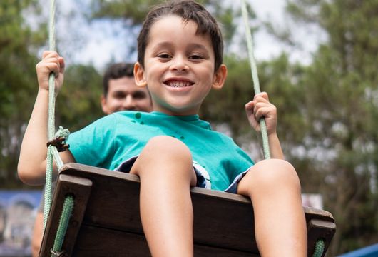 Descrição da Imagem 1