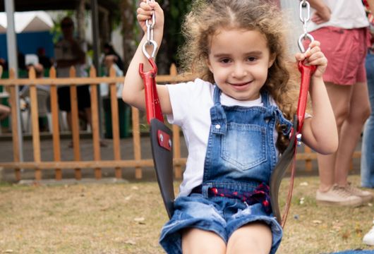 Descrição da Imagem 1