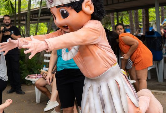 Descrição da Imagem 1