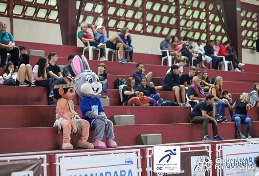 Descrição da Imagem 1