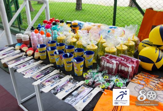 Descrição da Imagem 1