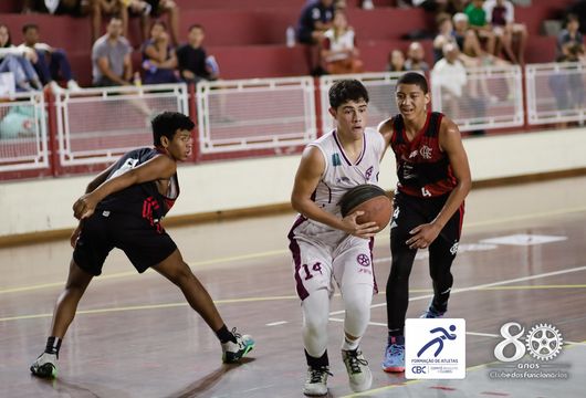 Descrição da Imagem 1