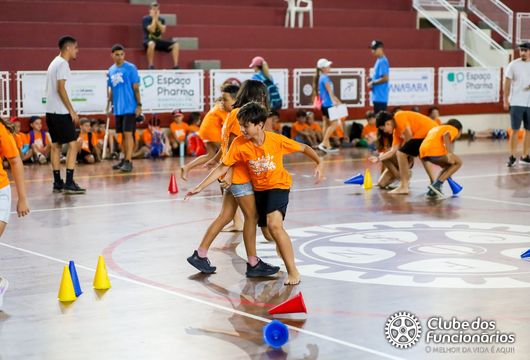 Descrição da Imagem 1