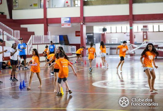 Descrição da Imagem 1