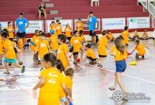 Descrição da Imagem 1