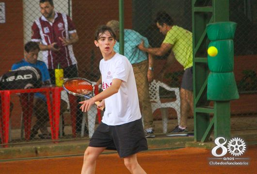 Descrição da Imagem 1