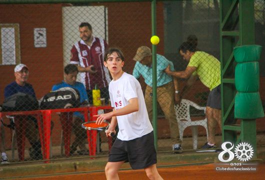 Descrição da Imagem 1