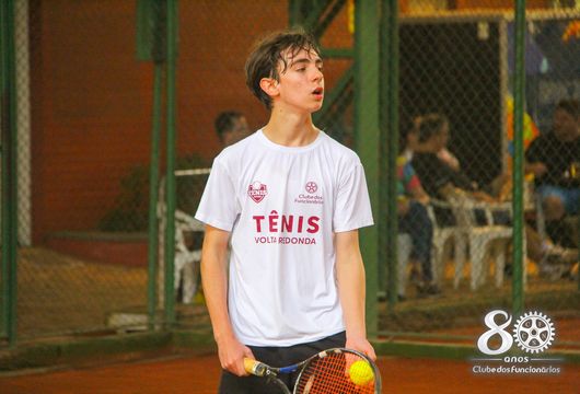 Descrição da Imagem 1