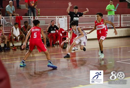 Descrição da Imagem 1