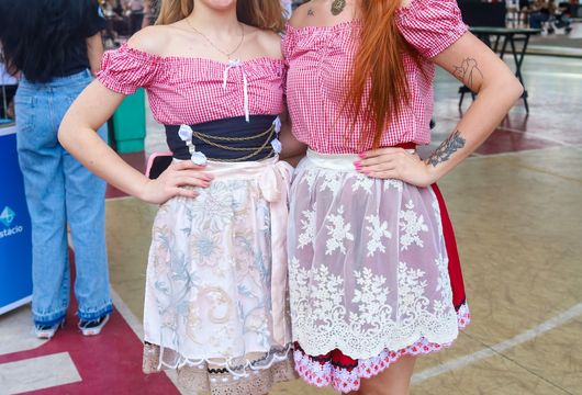 Descrição da Imagem 1