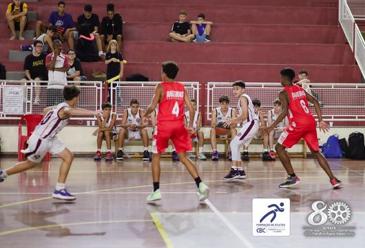 Descrição da Imagem 1