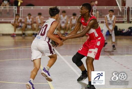 Descrição da Imagem 1