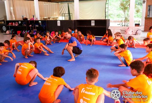 Descrição da Imagem 1