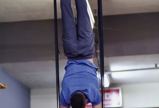 Descrição da Imagem 1