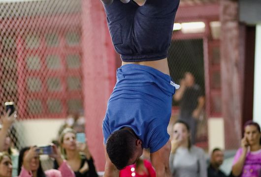 Descrição da Imagem 1