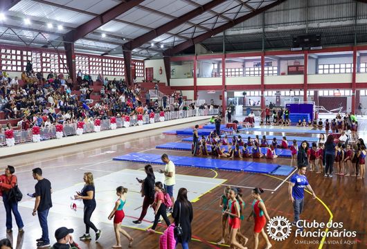 Descrição da Imagem 1