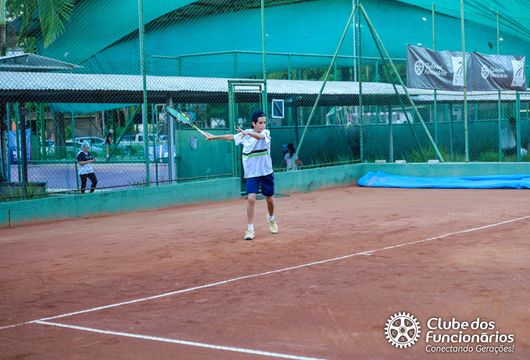 Descrição da Imagem 1