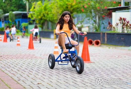 Descrição da Imagem 1