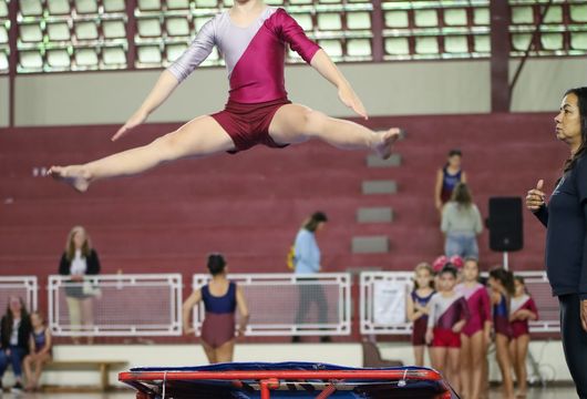 Descrição da Imagem 1