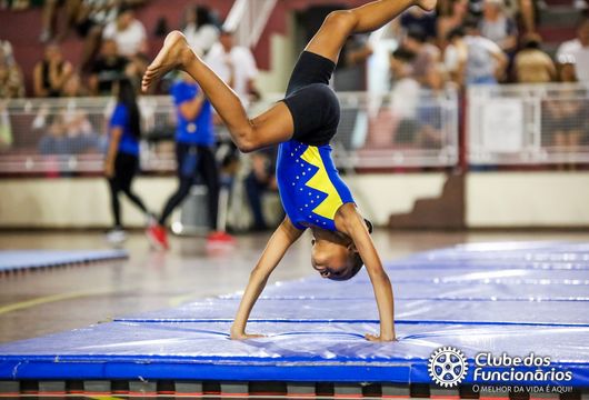 Descrição da Imagem 1