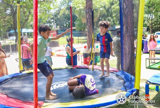 Descrição da Imagem 1