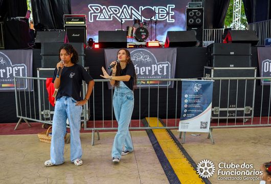 Descrição da Imagem 1