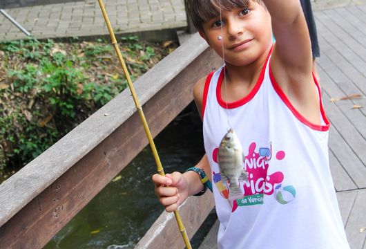 Descrição da Imagem 1