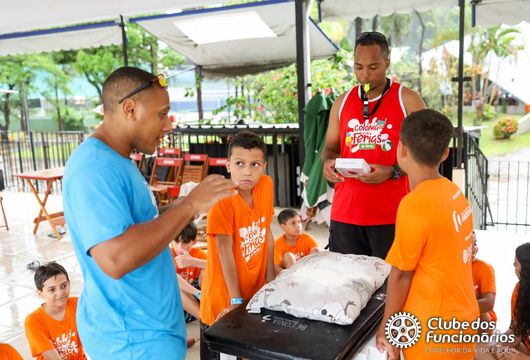 Descrição da Imagem 1