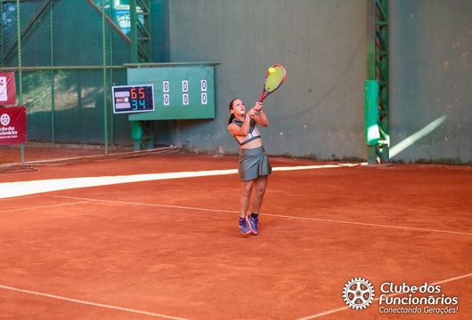 Descrição da Imagem 1