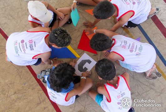 Descrição da Imagem 1